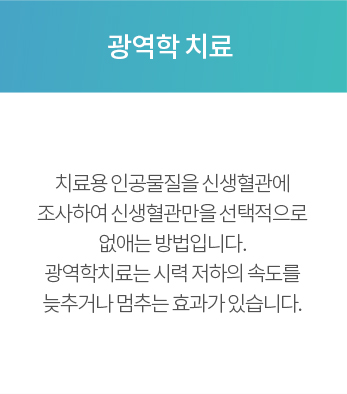 광역학 치료