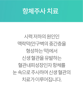 항체주사 치료