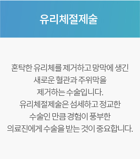 유리체절제술