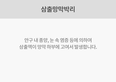 삼출망막박리