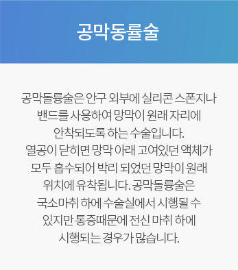 공막동률술