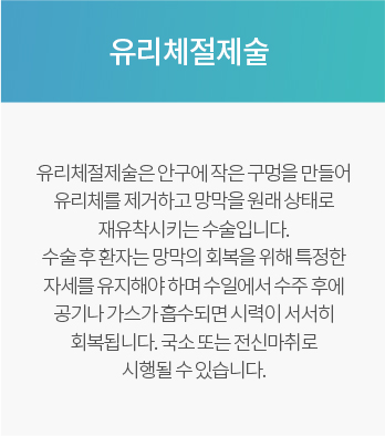 유리체절제술