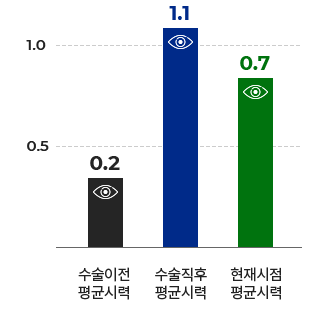 현재 평균시력