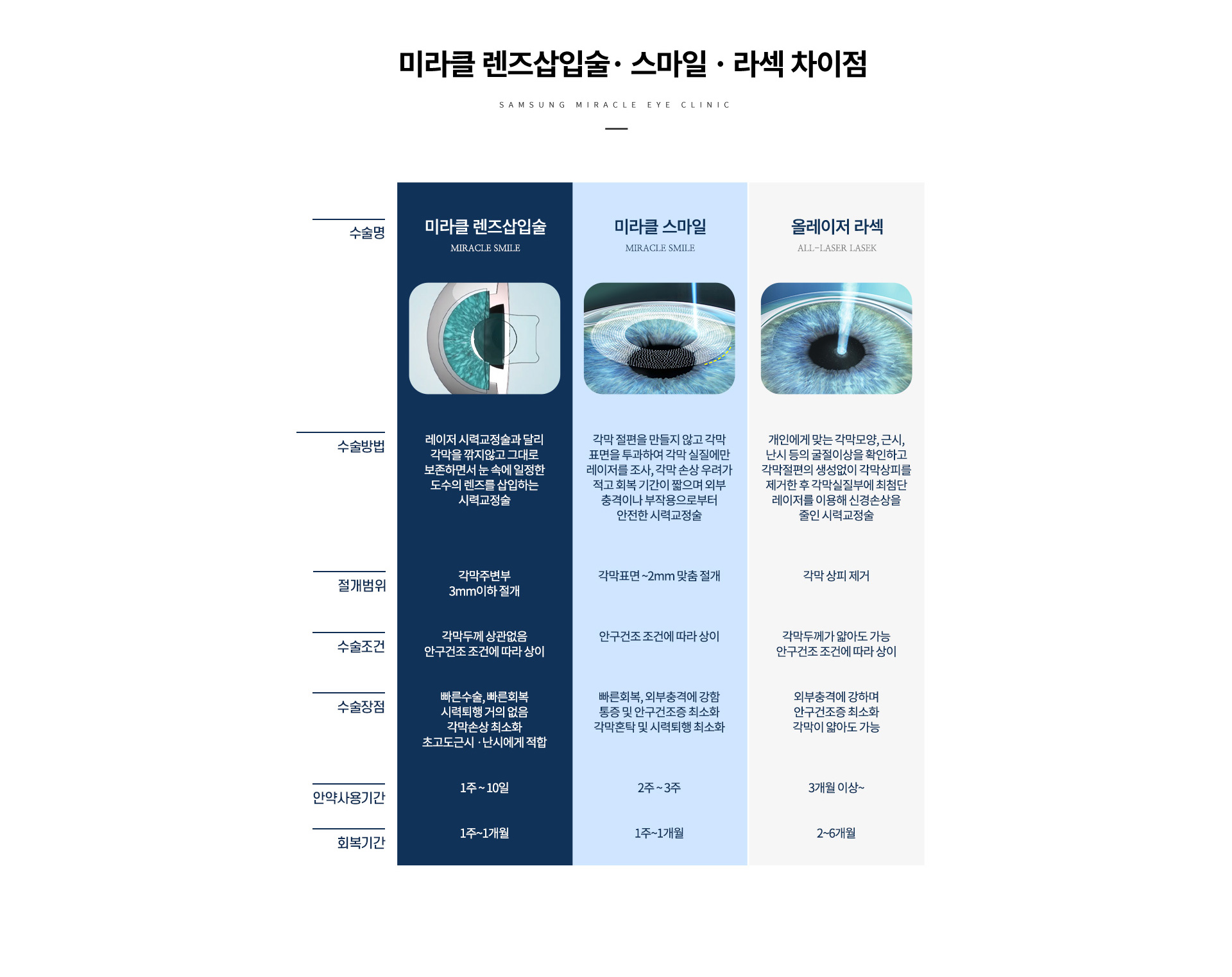 implant 상세04